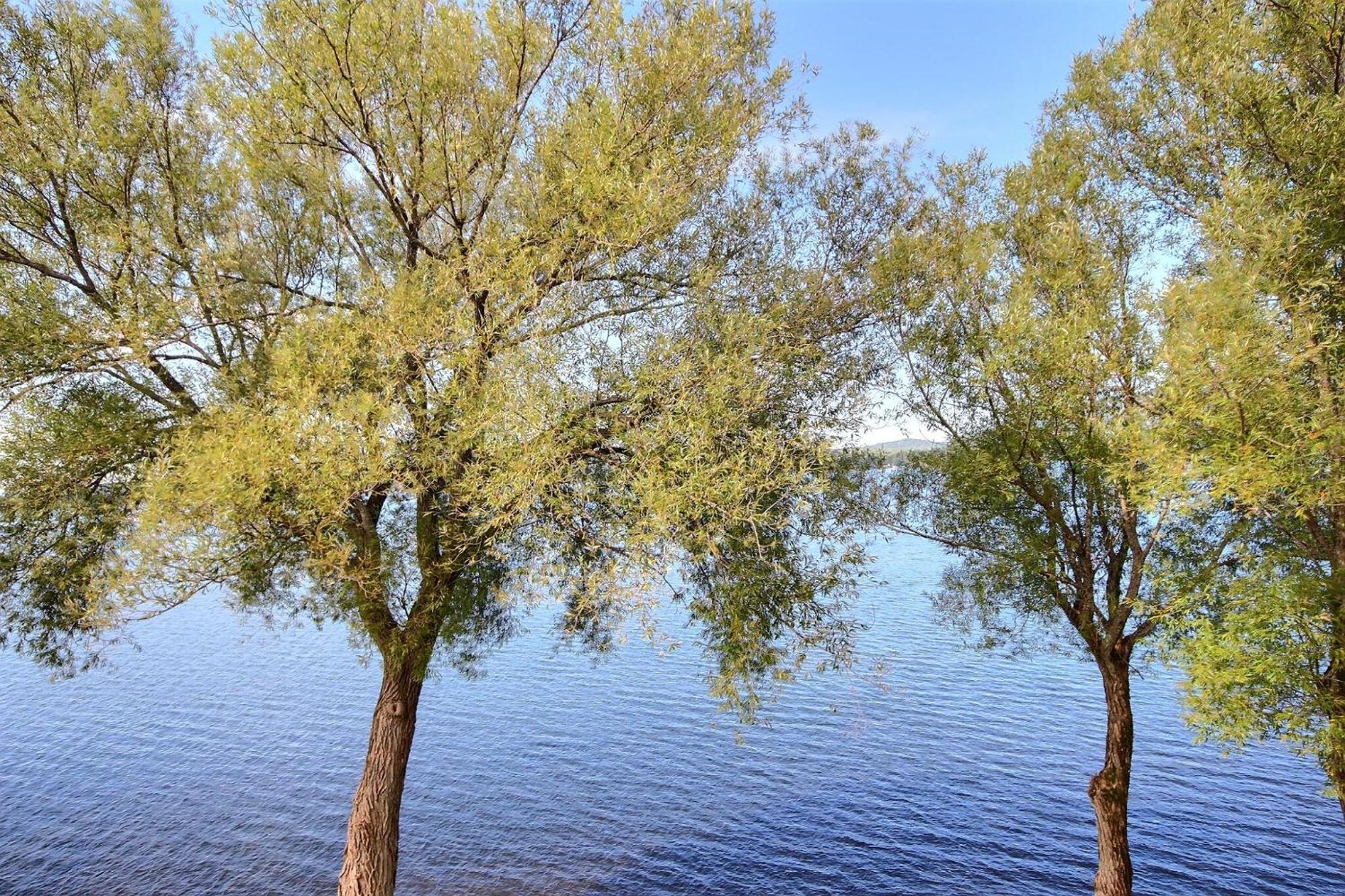 Location Tourisme Estrie - Oberge Du Village Magog Eksteriør billede